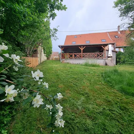 Nouveau Le Geai Bleu A 5min De La Petite Pierre Terrasse Couverte Et Jardin * Erckartswiller