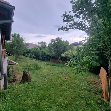 Nouveau Le Geai Bleu A 5min De La Petite Pierre Terrasse Couverte Et Jardin Erckartswiller