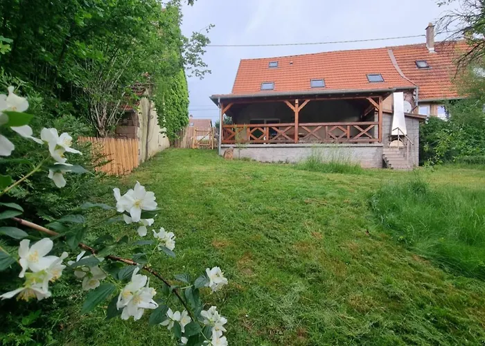Nouveau Le Geai Bleu A 5min De La Petite Pierre Terrasse Couverte Et Jardin * Erckartswiller
