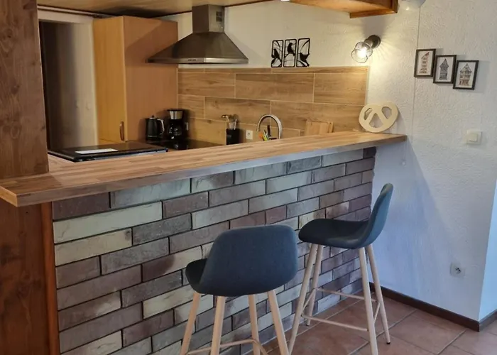 Nouveau Le Geai Bleu A 5min De La Petite Pierre Terrasse Couverte Et Jardin